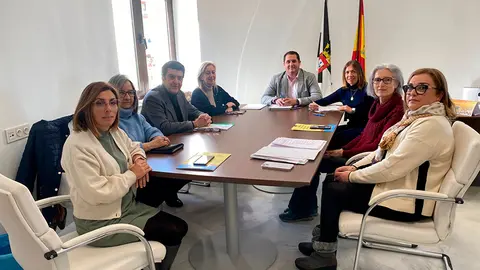 COMISI&Oacute;N DE ACCESIBILIDAD