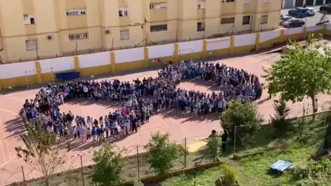 Momento de la actividad