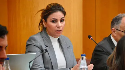 Nabila Benzina, durante una intrevenci&oacute;n en sesi&oacute;n plenaria / Archivo