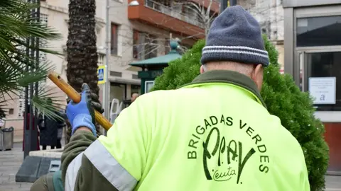 Brigadas Verdes / Archivo