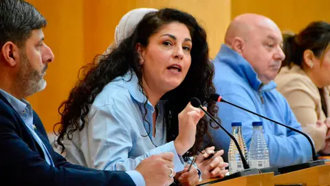 Julia Ferreras durante una de sus intervenciones plenarias / A. Castillo