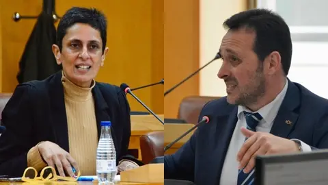  Kissy Chandiramani y Juan Sergio Redondo, durante un debate plenario / A. Castillo 