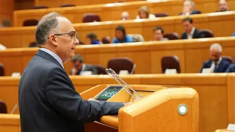 El Consejero de Presidencia, Alberto Gait&aacute;n, durante una comparecencia en el Senado / Alma Palomino