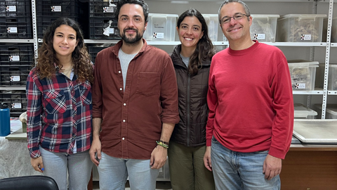 Los arque&oacute;logos, en su lugar de trabajo en las Murallas Reales/ Dani Hern&aacute;ndez