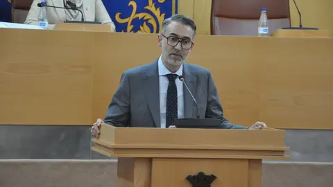  Sebati&aacute;n Guerrero, portavoz ddel Grupo Socialista 