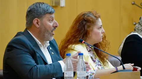 Mohamed Mustafa y Julia Ferreras, durante el transcurso de una sesi&oacute;n plenaria / Archivo