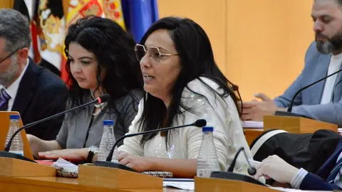  Fidda Mustafa durante su intervenci&oacute;n. 
