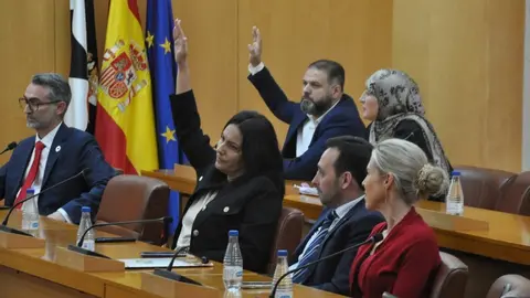  Navil Rahal y Fida Mustafa votando a favor del Gobierno y en contra de sus compa&ntilde;eros socialistas./archivo 