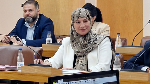 La diputada Hikmat Mohamed ha interpelado al Gobierno por la Manzana del Revell&iacute;n _ Laura Ortiz