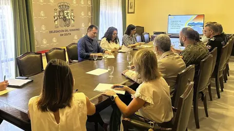 COMIT&Eacute; SEGURIDAD VIAL