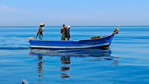 CECAM denuncia la pesca con palangres en la Almadrabeta / CECAM