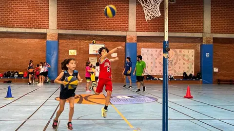 XIII Basket Summer Camp / Daniel Hern&aacute;ndez
