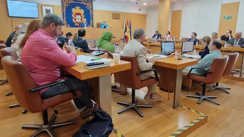 Sesi&oacute;n plenaria / Archivo