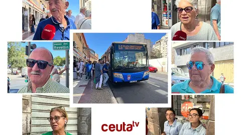 Autobuses / Daniel Hern&aacute;ndez