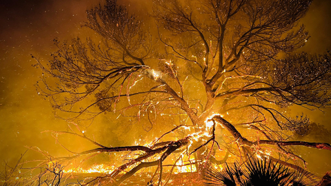 Incendio en los montes de Ceuta