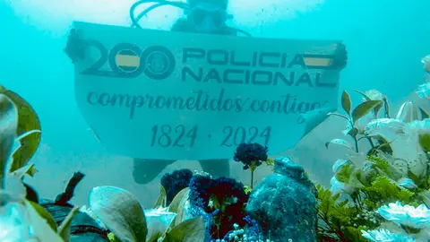 POLICIA PINEO