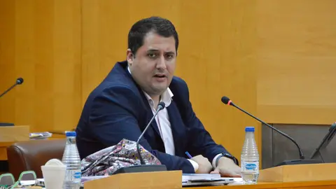 Alejandro Ram&iacute;rez, durante un pleno