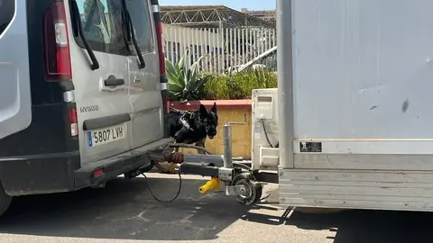 Un perro de la Unidad Cinol&oacute;gica