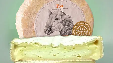 queso salmonelosis