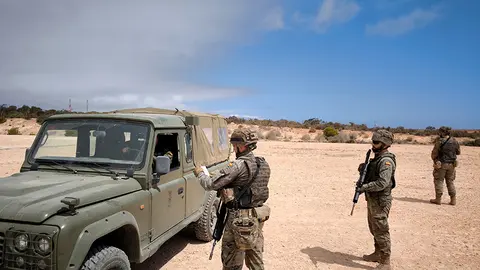 Grupos T&aacute;cticos del Ej&eacute;rcito
