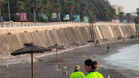 Limpieza de El Chorrillo