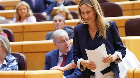 Cristina D&iacute;az en el Senado / Archivo