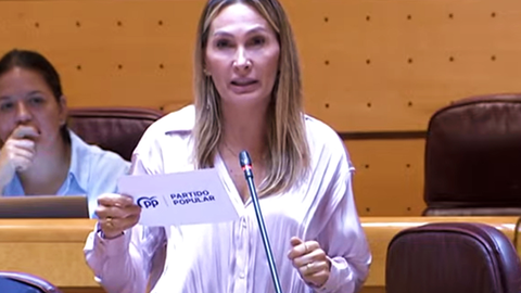 Cristina D&iacute;az, durante su intervenci&oacute;n  en el Senado