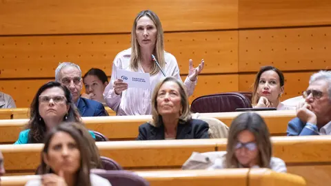 Cristina D&iacute;az, en el Senado / PP