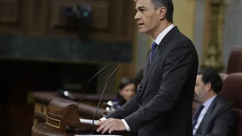 S&aacute;nchez, en su intervenci&oacute;n / Congreso.es