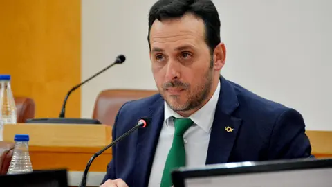 Juan Sergio Redondo, portavoz de Vox durante un pleno / Archivo
