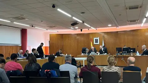  Un momento de la vista. 