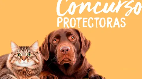 CONCURSO PROTECTORAS