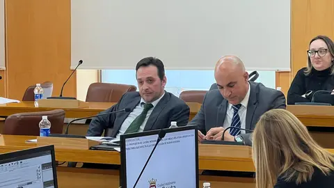 Los diputados de Vox durante una sesi&oacute;n plenaria / Archivo