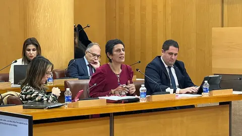  La consejera de Hacienda, Kissy Chandiramani, en una de sus intervenciones en el Pleno 