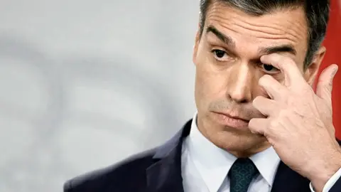 Pedro S&aacute;nchez / Archivo