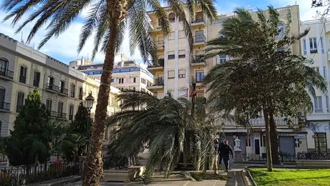Palmera rota en Plaza de &Aacute;frica