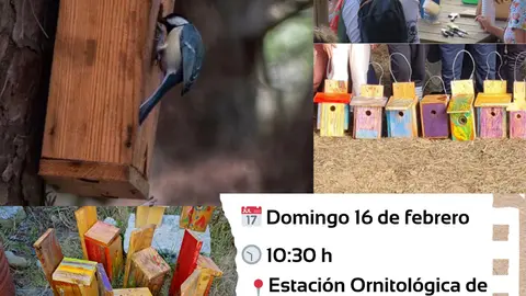 CAJAS NIDO
