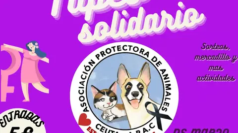 TAPEO SOLIDARIO PROTECTORA