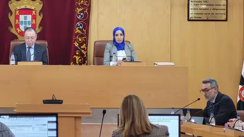 Fatima Hamed y Vivas durante un Pleno / Archivo