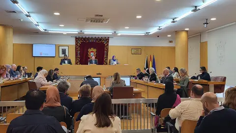Sesi&oacute;n plenaria / Archivo