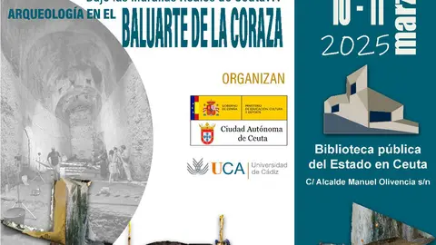 CORAZA ALTA