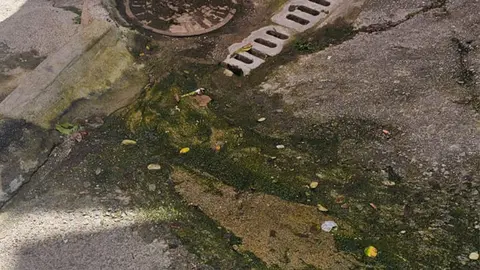 SANEAMIENTO PR&Iacute;NCIPE ALFONSO 3