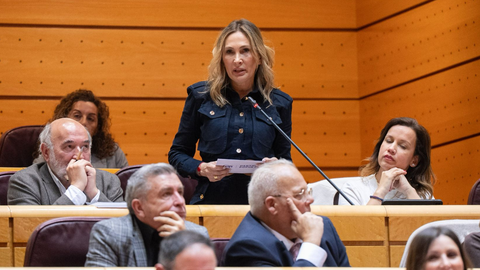 Cristina D&iacute;az durante su intervenci&oacute;n en el Senado de este martes / PP
