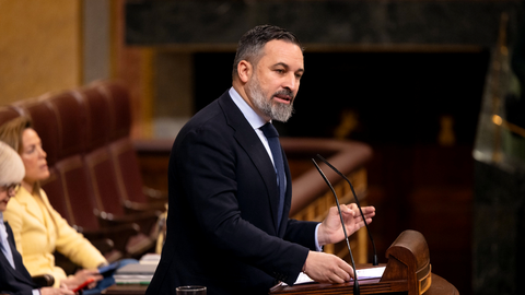 Santiago Abascal, durante una  intervenci&oacute;n en el Congreso / VOX