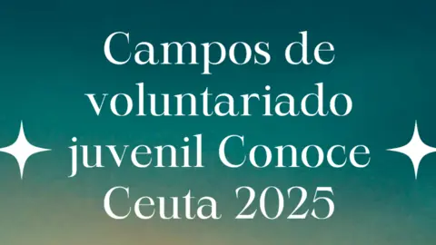 Campo de voluntariado juvenil / Cartel
