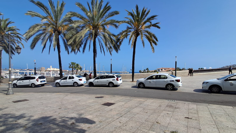 Taxis Paseo de las Palmeras / C&eacute;sar Mart&iacute;n