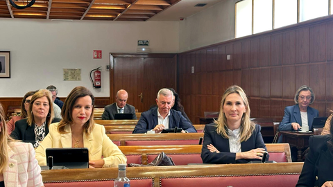 Las senadoras del Partido Popular en la Comisi&oacute;n de Comercio del Senado 