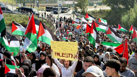 Manifestaci&oacute;n por Palestina / Laura Ortiz