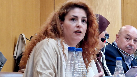 La diputada Julia Ferreras durante una intervenci&oacute;n en el Pleno / Laura Ortiz