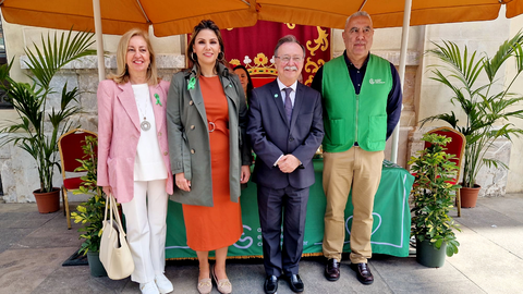 La cuestaci&oacute;n anual de la AECC se est&aacute; desarrollando durante la jornada de este jueves / Laura Ortiz